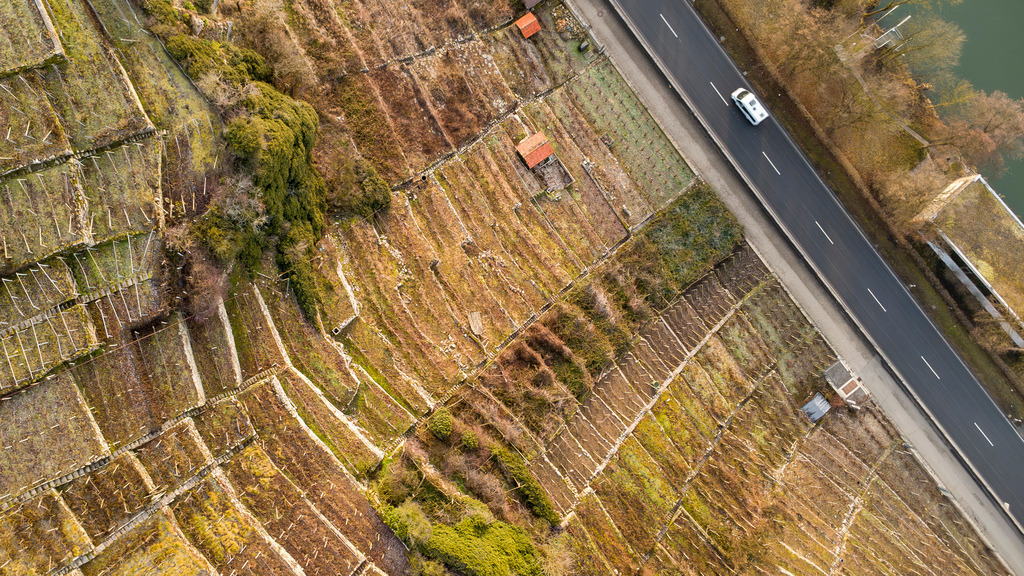 Weinbergen | Ludwigsburg Poppenwe3iler - Weinbergen direkt am Neckar. - Realisiert mit Pictrs.com