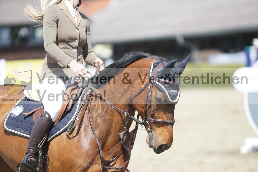 DSC02657 | equestrian-live-com