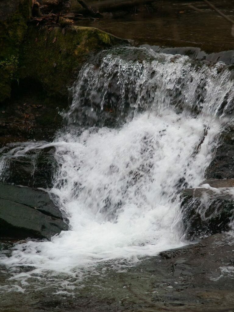 PSX_20221204_230724 | mtkfoto_ - Realisiert mit Pictrs.com