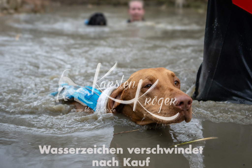 1440_ZZ90126 | kk-dogfotos