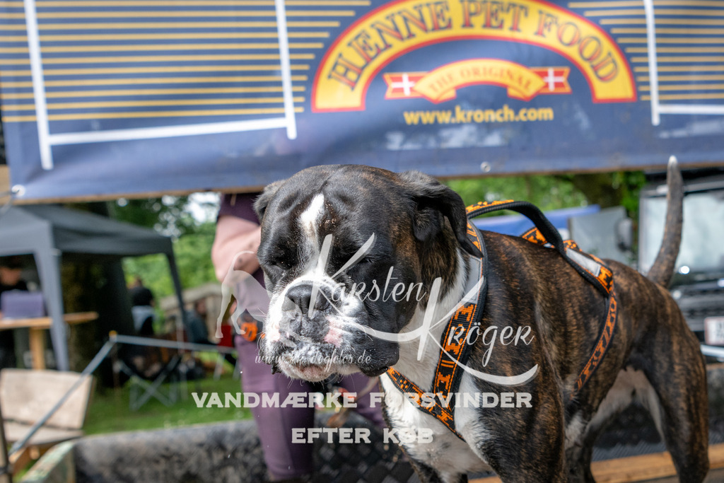 1032_ZZ91204 | kk-dogfotos