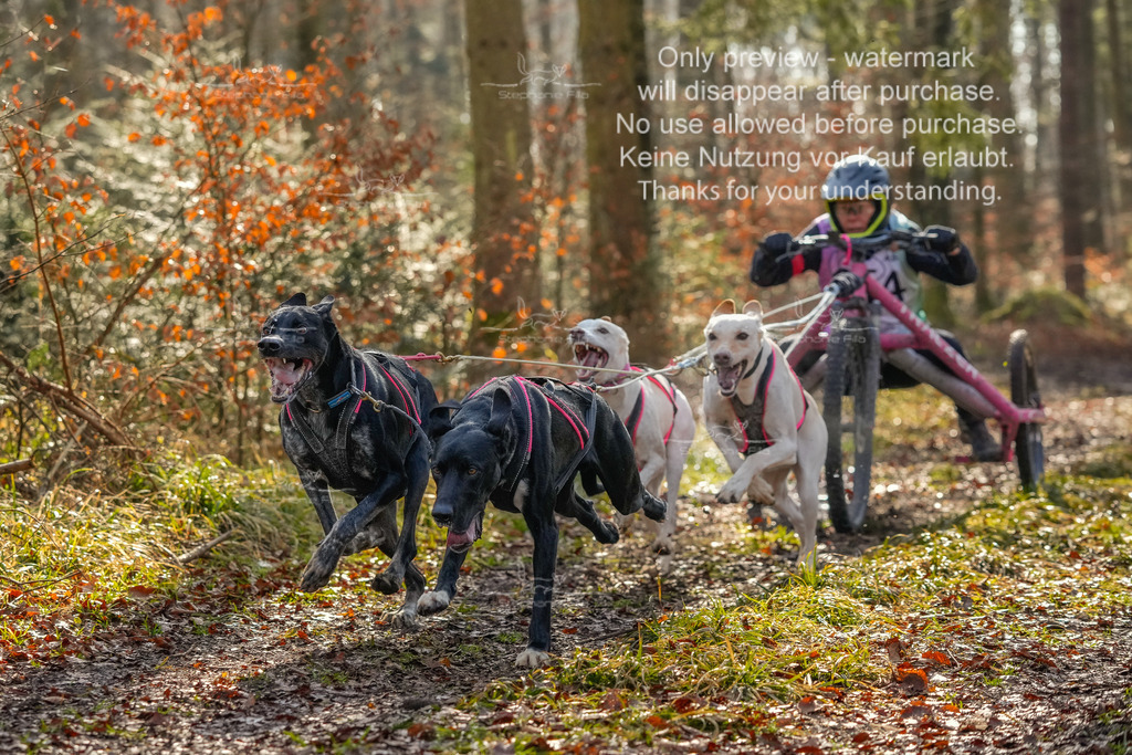 So_Gespanne-29 | stephaniefillaphotographie - Realisiert mit Pictrs.com