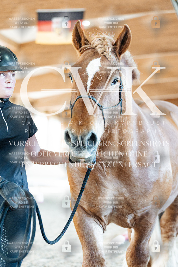 CK906308 | Turnierfotografie Pferdefotografie Trier Rheinland-Pfalz Pferdesport Reitsport Tierfotografie Sportfotografie Pferdevideo Pferdevideografie Equestrianvideography equestrianphotography  - Realisiert mit Pictrs.com