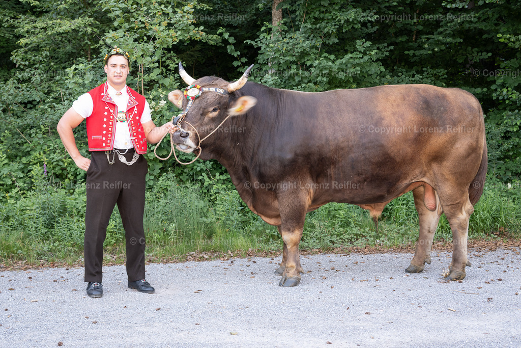 Schwingen -  NOS 2025 | St.Gallen, 29.6.25, Schwingen - NOS.