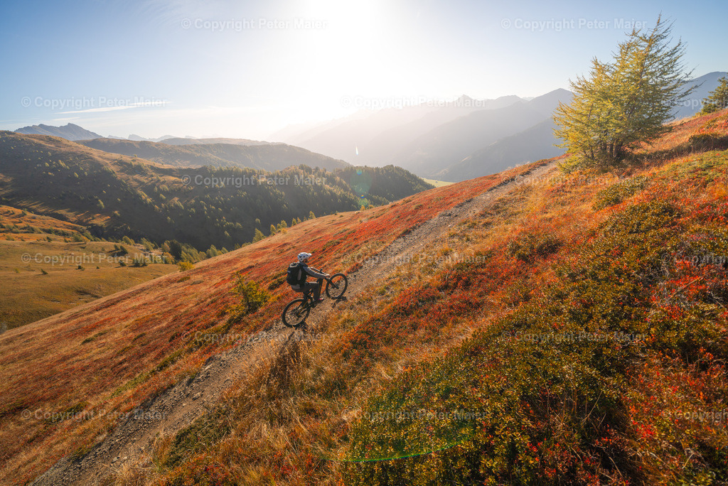 Golzentipp_Osttirol_Herbst_23_Peter_Maier-853 | piet_flosse