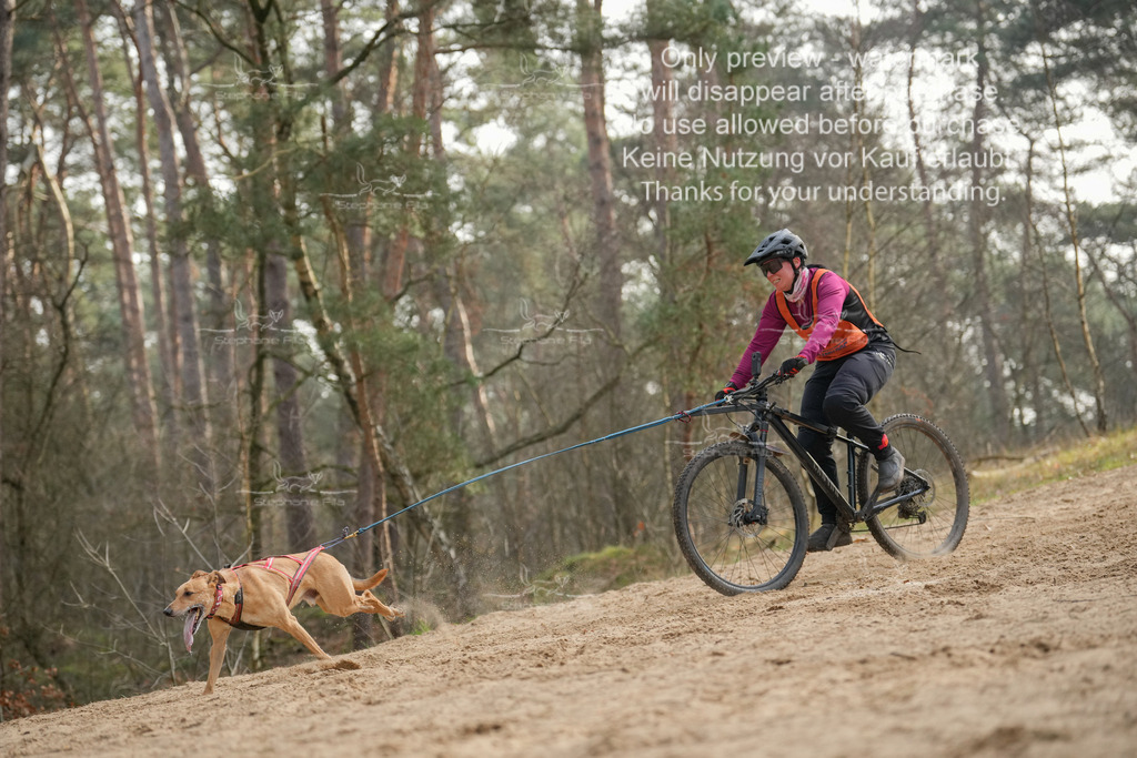 Bike1-290 | stephaniefillaphotographie - Realisiert mit Pictrs.com