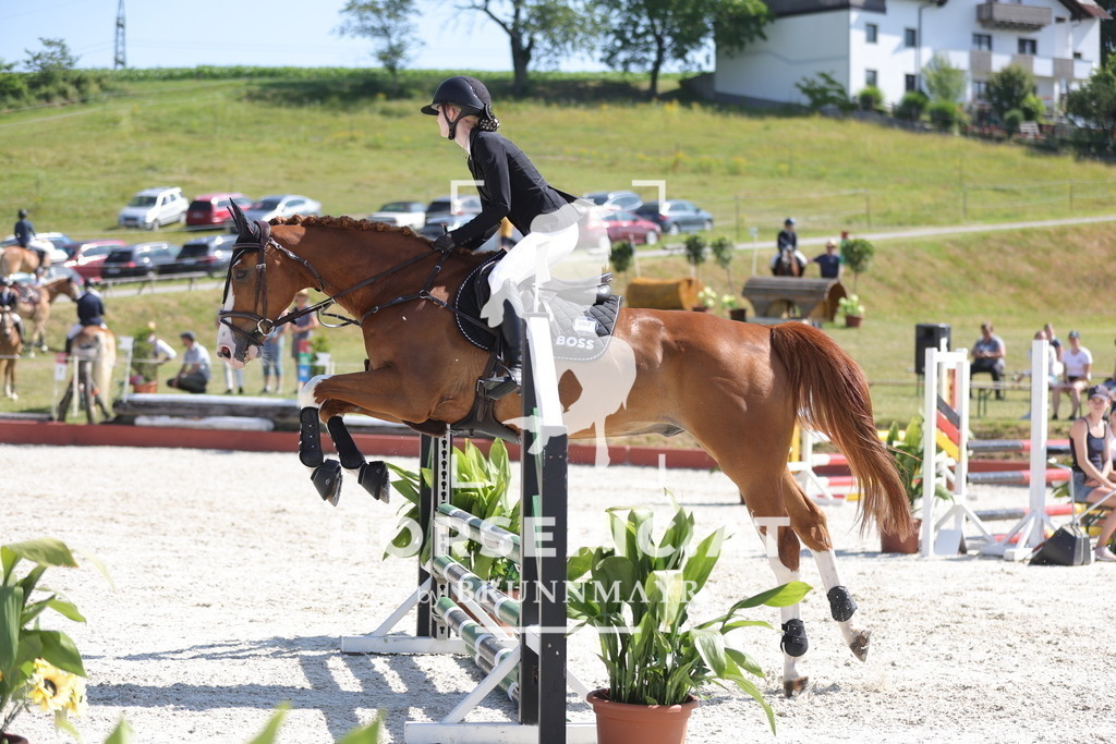 0P6A7893 | Willkommen bei Brunnmayr - Design & Fotografie – Ihrem Spezialisten für Reitturniere und Pferdeveranstaltungen in Oberösterreich, Salzburg und Bayern! Seit über 17 Jahren sind wir leidenschaftlich dabei.