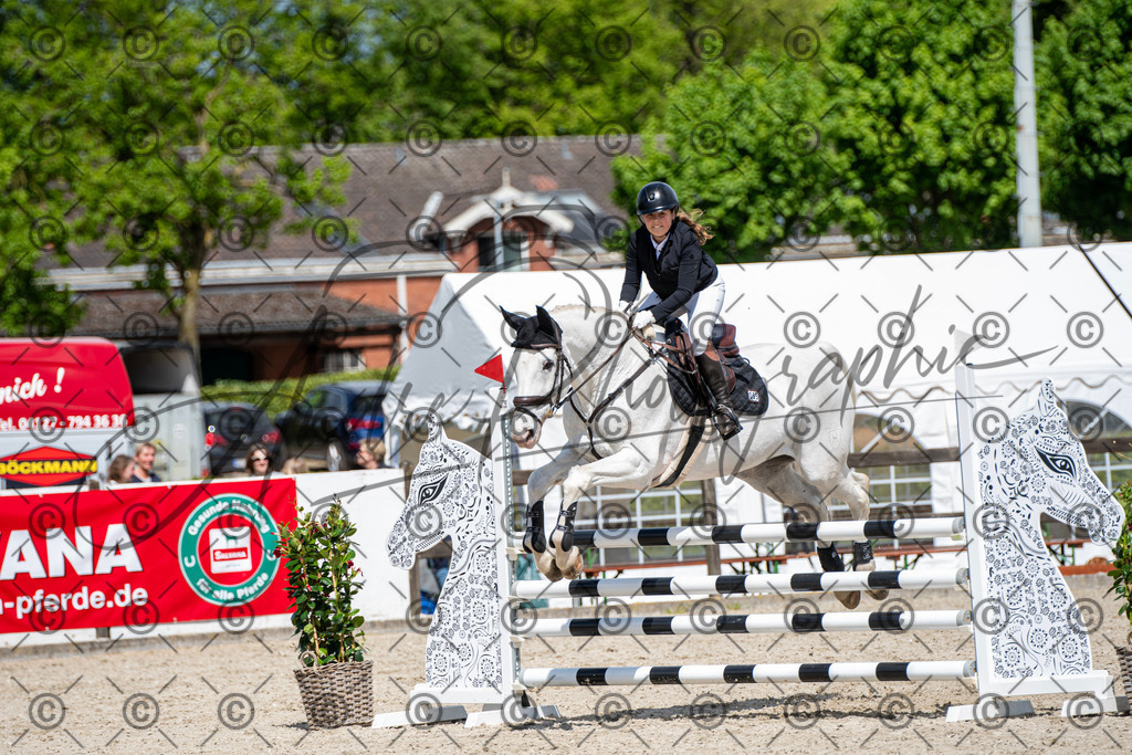 KPT_5322 | andre_photographic