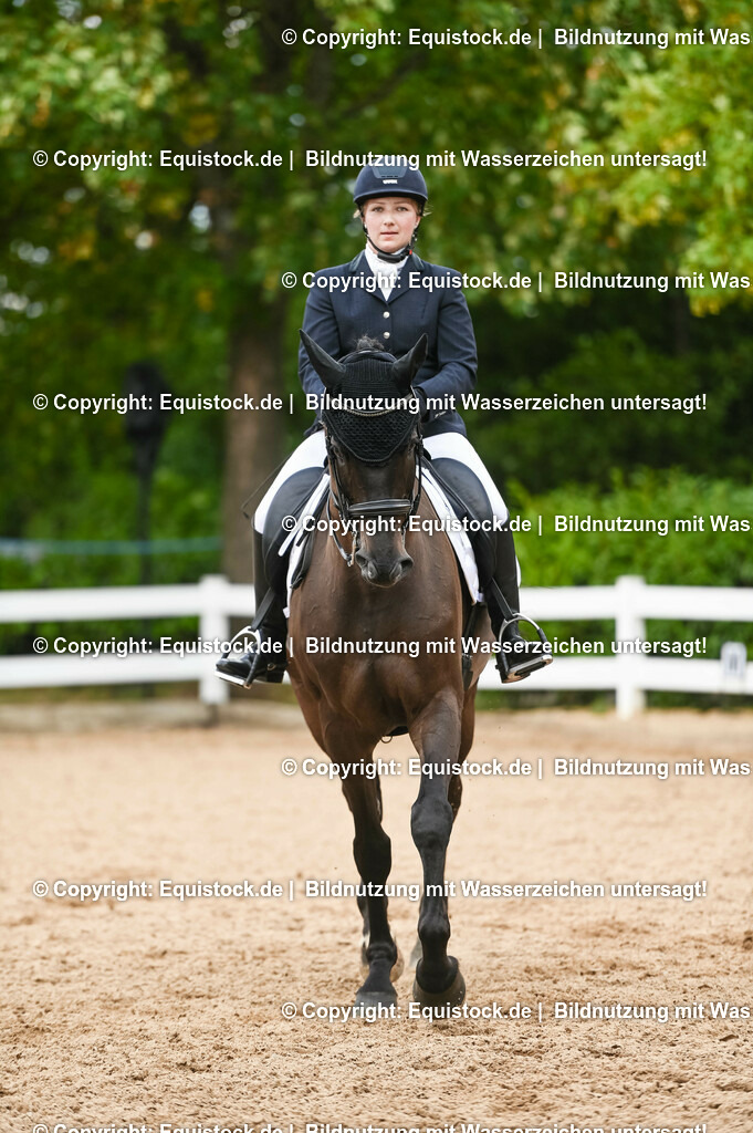 20230716_01_Dressurprüfung Kl.M_0408 | equistock