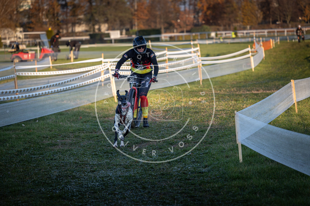 CaniXpix_0L8A2119 | Hundefotografie, Tierfotograf, Pfotenfotografie, Fotoshooting Hund, Hunde Portrait, Hundesport, Hundeportraits, Heideshooting, Hunde, Sportfotograf, Hundefotograf, Turnierhundsport, THS,  - Realisiert mit Pictrs.com