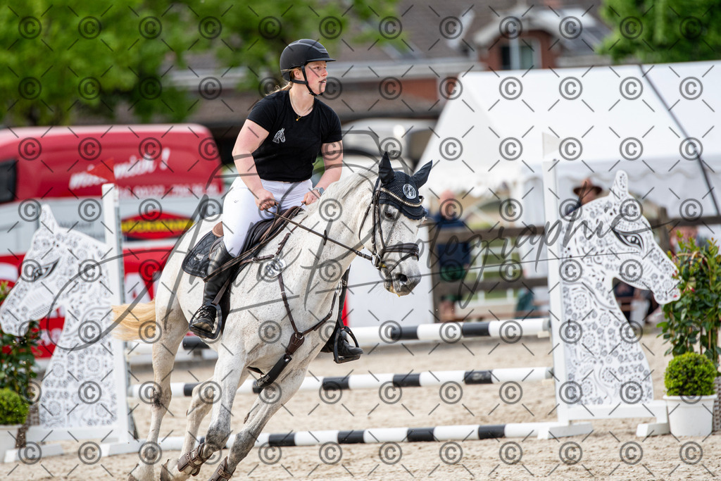 KPT_7071 | andre_photographic