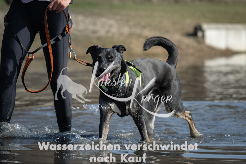 1315_ZZ95461 | kk-dogfotos