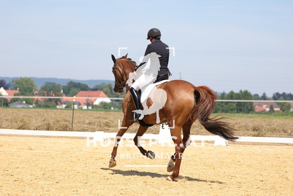 0P6A0646 | Willkommen bei Brunnmayr - Design & Fotografie – Ihrem Spezialisten für Reitturniere und Pferdeveranstaltungen in Oberösterreich, Salzburg und Bayern! Seit über 17 Jahren sind wir leidenschaftlich dabei.