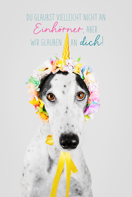 Patch glaubt an dich! | "Du glaubst vielleicht nicht an Einhörner, aber wir glauben an dich!"