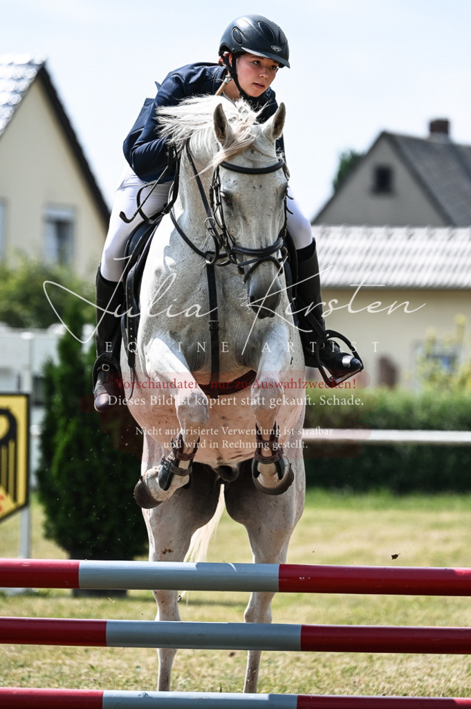 DSC_9233 | Pferde- und Turnierfotografie in Westsachsen. Pferdeportraits, Auftragszeichnungen und intuitive Kunst.