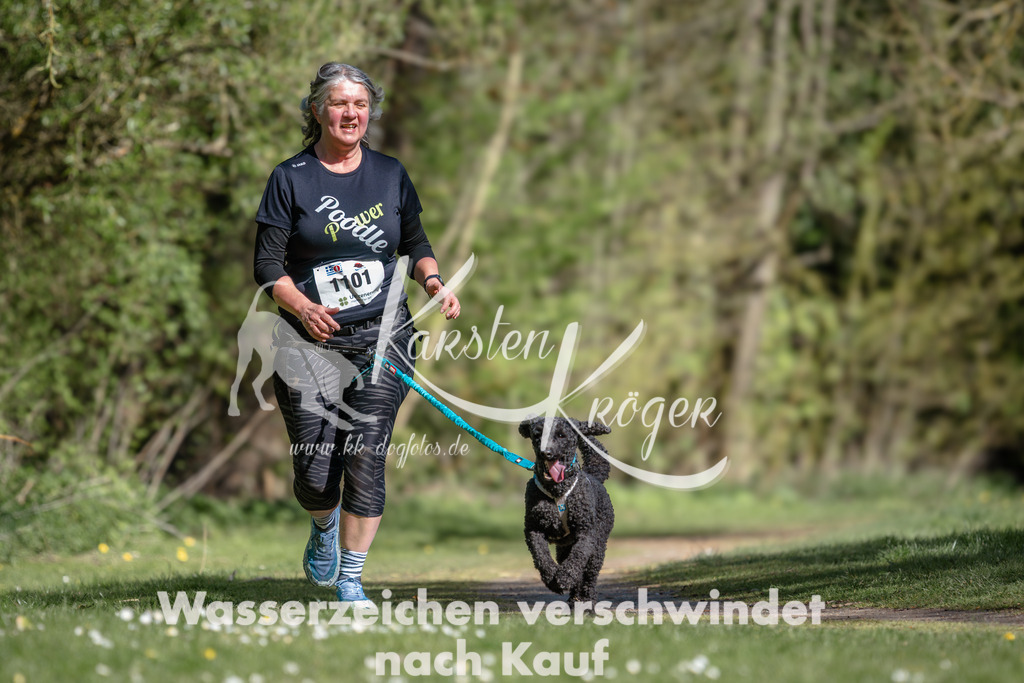 1034DZ6_4012 | kk-dogfotos