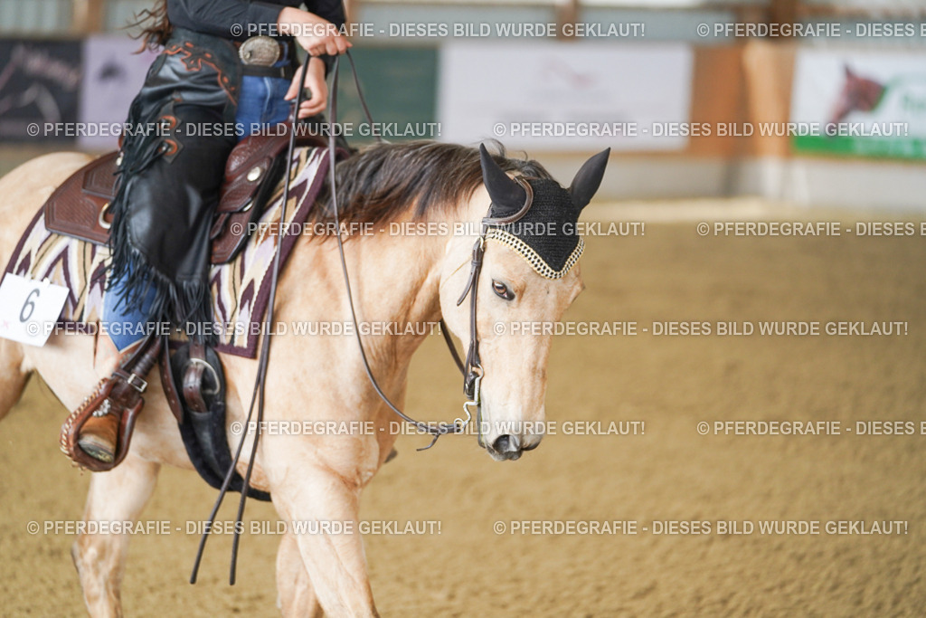 DSC02545 | Pferdegrafie