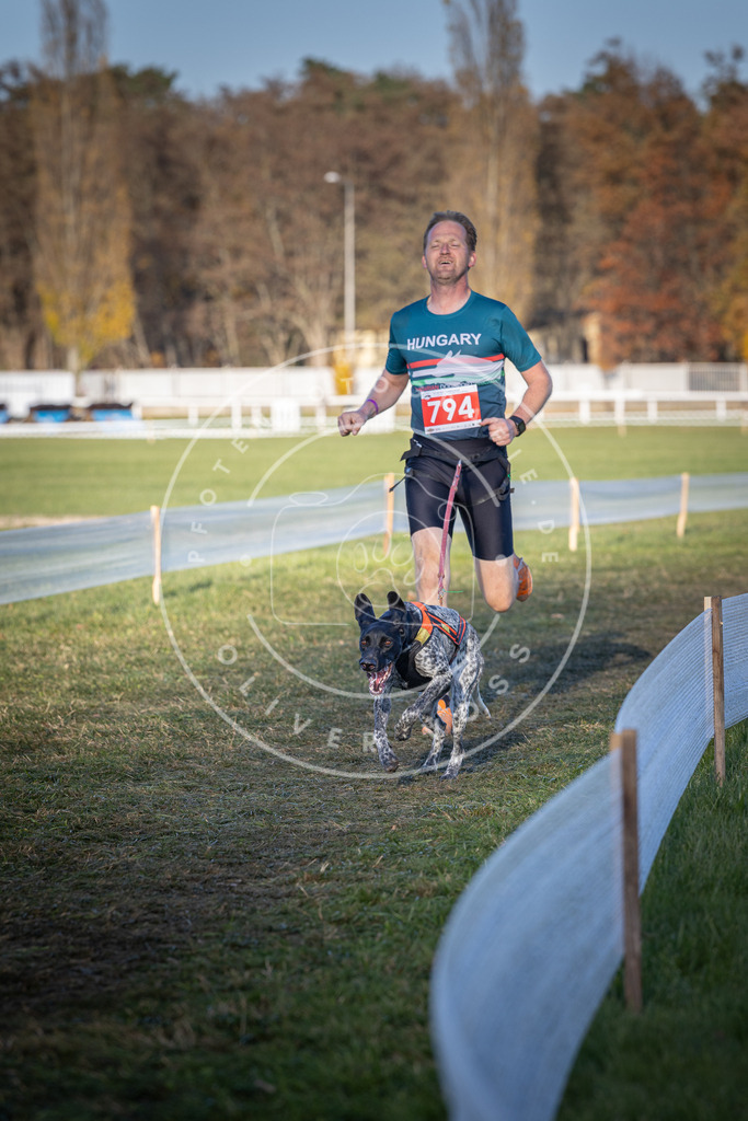 CaniXpix_DV3A2826 | Hundefotografie, Tierfotograf, Pfotenfotografie, Fotoshooting Hund, Hunde Portrait, Hundesport, Hundeportraits, Heideshooting, Hunde, Sportfotograf, Hundefotograf, Turnierhundsport, THS,  - Realisiert mit Pictrs.com