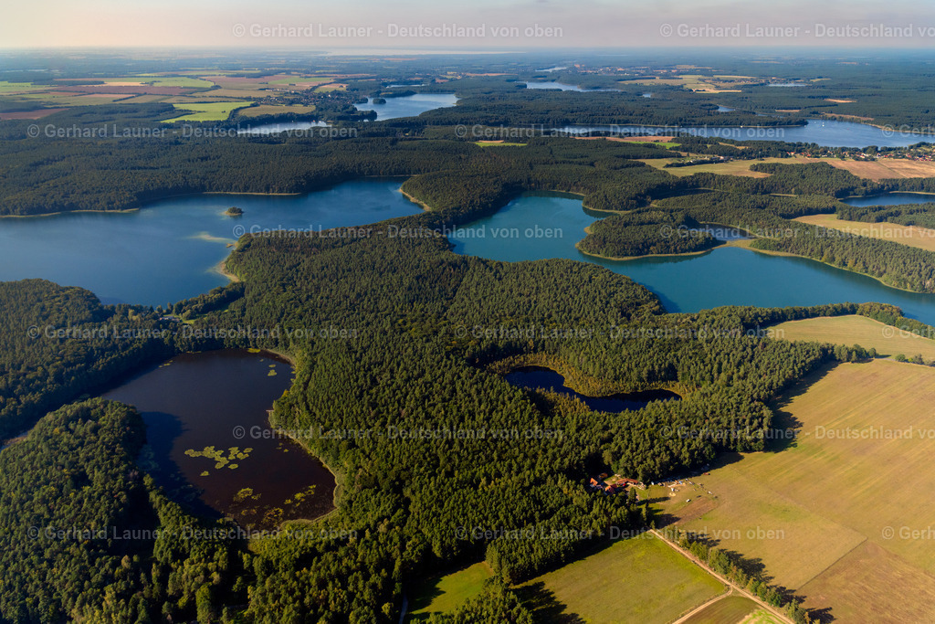 4062367 | HEIMLAND 08.09.2021 Waldgebiete am Ufer des See Großer Wummesee in Heimland im Bundesland Brandenburg. // Forests on the shores of Lake Grosser Wummesee in Heimland in the state Brandenburg. Foto: Gerhard Launer