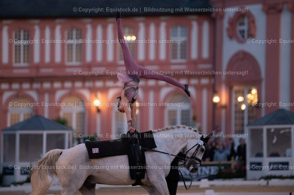 20230527_Voltigieren_NASPA_Flutlicht_0368 | equistock