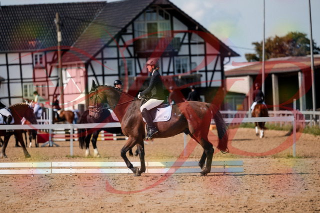 2026_10_03_Siefer-Hof_122701_Z63_47867042 | Professionelle Reitsport-, Turnier- und Eventfotografie von Robert Broda. Galerien mit ausgewählten und bearbeiteten Bildern direkt online ansehen und bestellen.