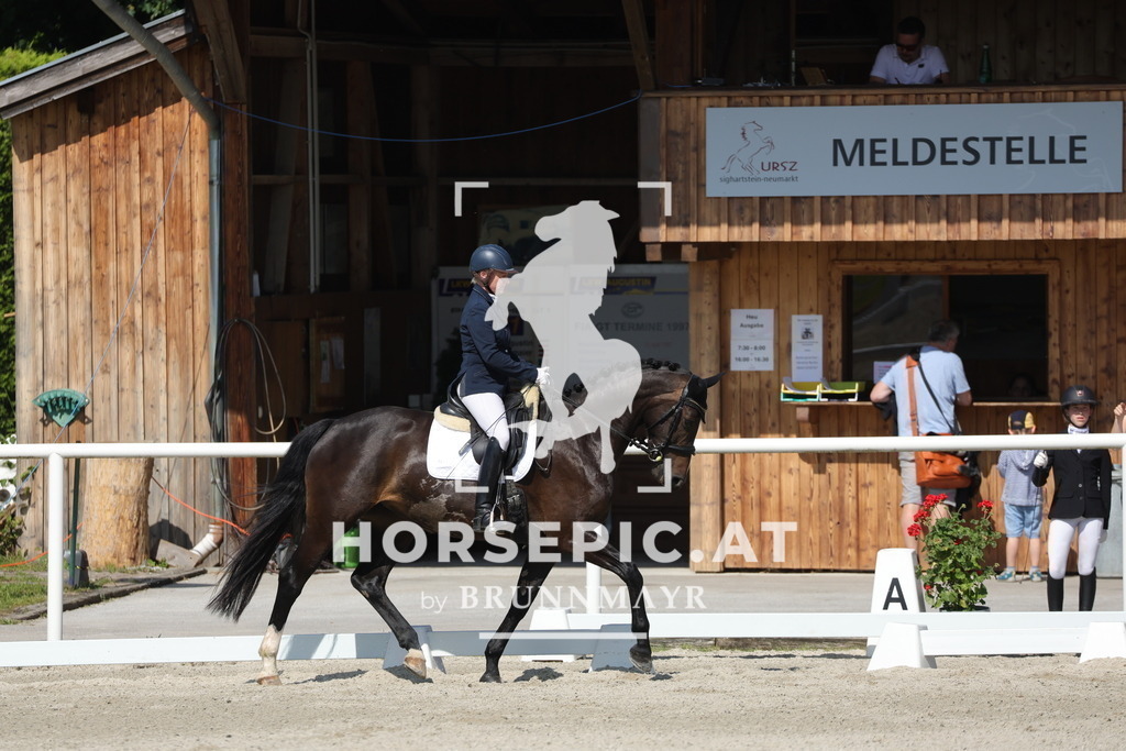 0P6A0373 | Willkommen bei Brunnmayr - Design & Fotografie – Ihrem Spezialisten für Reitturniere und Pferdeveranstaltungen in Oberösterreich, Salzburg und Bayern! Seit über 17 Jahren sind wir leidenschaftlich dabei.