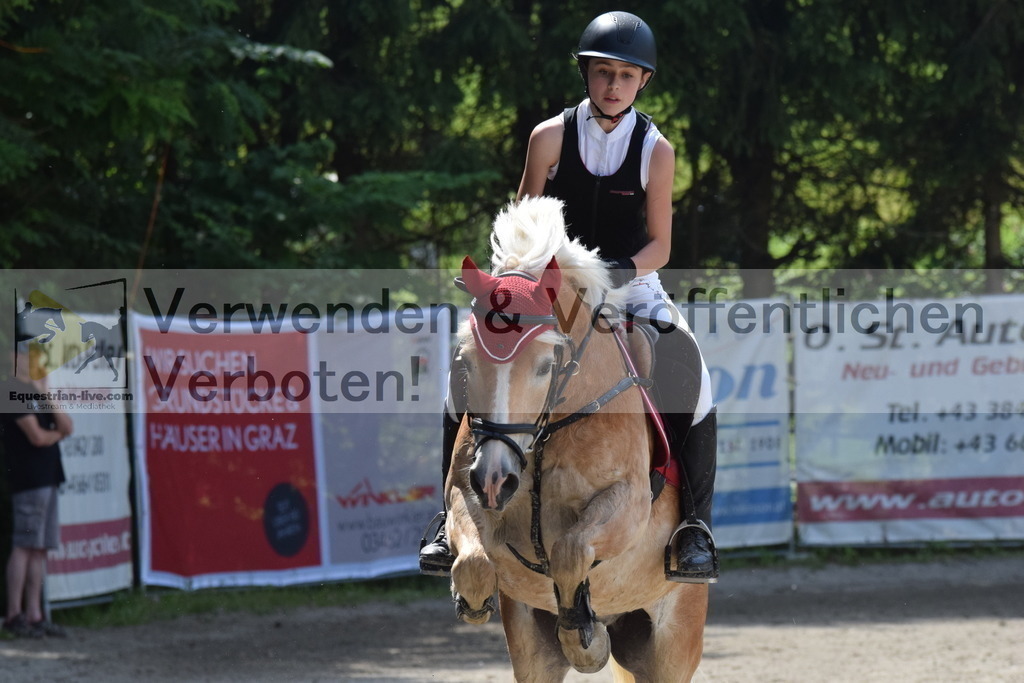 DSC_0007 | equestrian-live-com