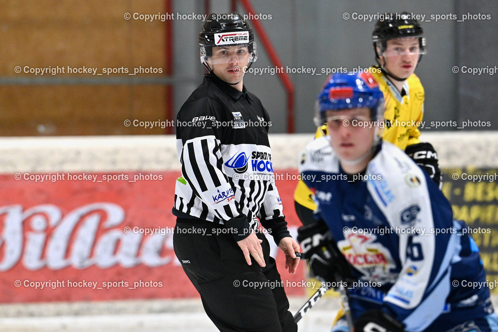EC Spittal Hornets vs. ESC Steindorf 10.2.2024 | KOSTYNSKI Daniel Referee
