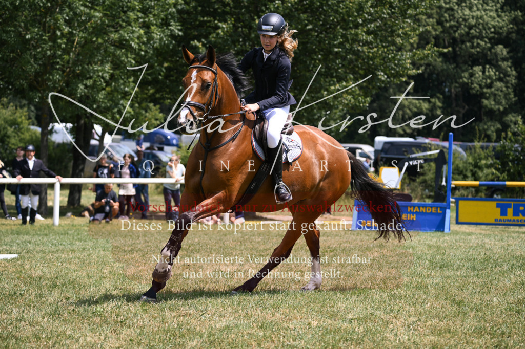 DSC_9279 | Pferde- und Turnierfotografie in Westsachsen. Pferdeportraits, Auftragszeichnungen und intuitive Kunst.