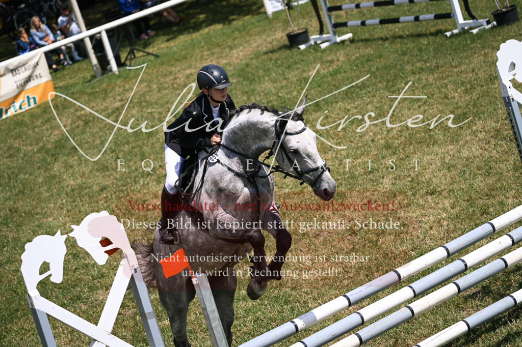 DSC_9597 | Pferde- und Turnierfotografie in Westsachsen. Pferdeportraits, Auftragszeichnungen und intuitive Kunst.