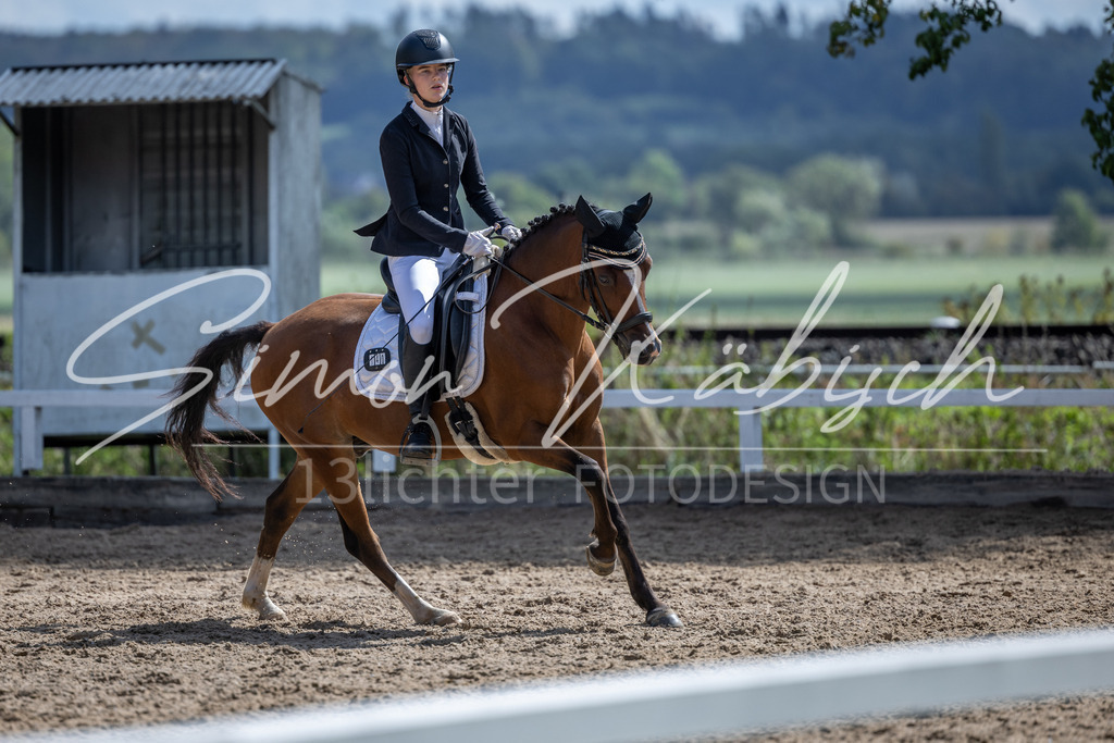 20260905-_3LI8405 | Tierfotografie Pferde, Hunde, Katzen, Haustiere.
Turnierfotografie Reitturniere, Reiten, Springreiten, Dressur in Hanau, dem Main-Kinzig-Kreis und dem Rhein-Main- Gebiet um Frankfurt
