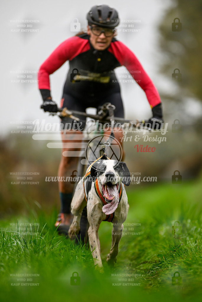 MompixPhotography_20TSB_E8_Bike-44 | PayLife