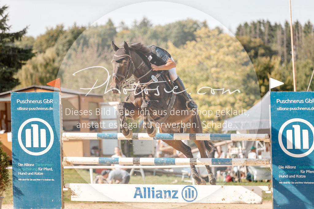 3I6A4693 | Stimmungsvolle Portraits und Reitsportfotografie im Ruhrgebiet und im Münsterland.

Pferdefotografie, Hundefotografie, Tierfotografie, Reportagen, Portraits von Tier und Mensch, Turnierfotografie in Bochum, Recklinghausen, Marl, Haltern am See, Dülmen.. - Realisiert mit Pictrs.com
