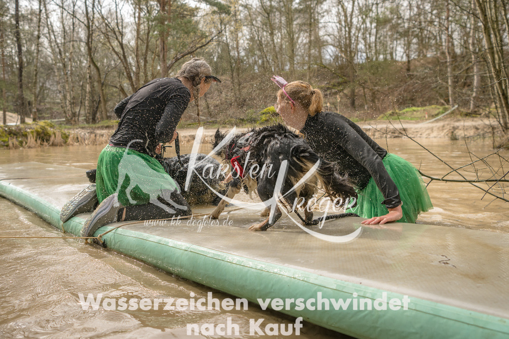 1317_ZZ90001 | kk-dogfotos