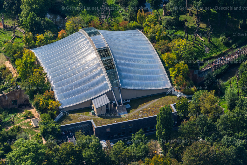 4039824 | LEIPZIG 14.09.2020 Zoogelände am Tierpark - Menschenaffenanlage Pongoland im Ortsteil Zentrum-Nordwest in Leipzig im Bundesland Sachsen, Deutschland. Weiterführende Informationen bei: Zoo Leipzig GmbH. // Zoo grounds at the Pongoland animal park in the district Zentrum-Nordwest in Leipzig in the state Saxony, Germany. Further information at: Zoo Leipzig GmbH. Foto: Gerhard Launer