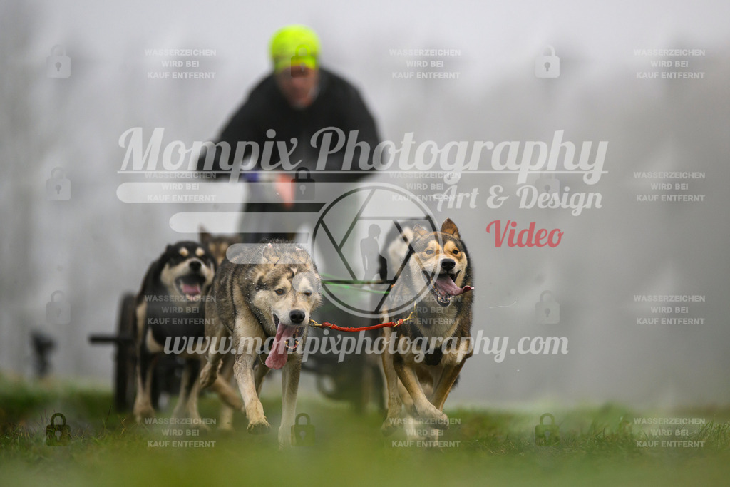 MompixPhotography_CDF2023_FFST_Di_Kart-76 | PayLife