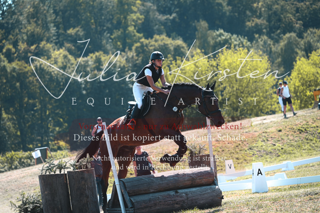 DSC_8327 | Pferde- und Turnierfotografie in Westsachsen. Pferdeportraits, Auftragszeichnungen und intuitive Kunst.