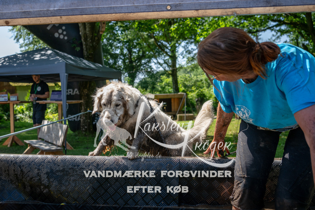 1243_ZZ91825 | kk-dogfotos