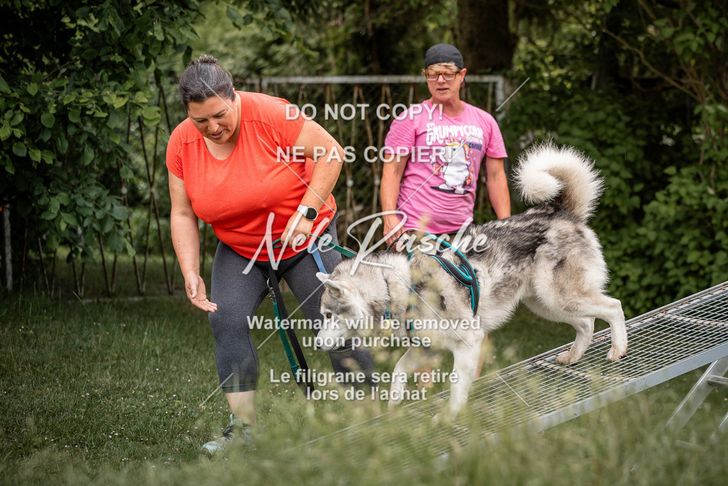 nelerasche_So-funtrail_101 | nelerasche