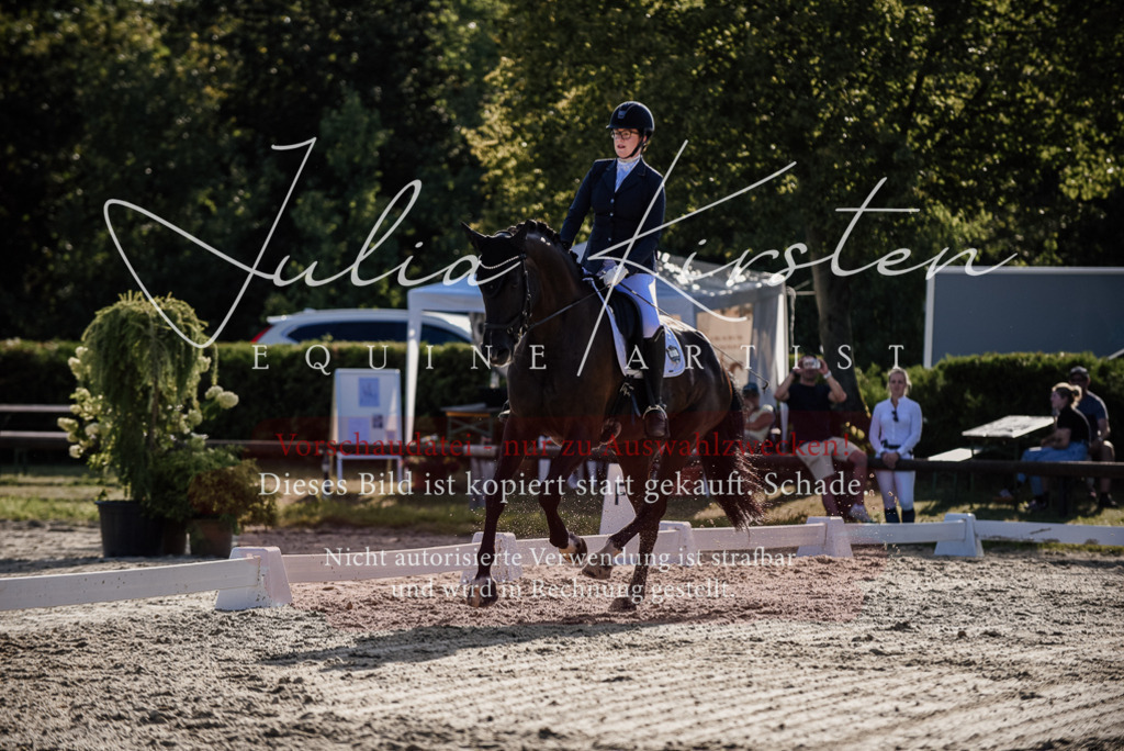 DSC_0573 | Pferde- und Turnierfotografie in Westsachsen. Pferdeportraits, Auftragszeichnungen und intuitive Kunst.