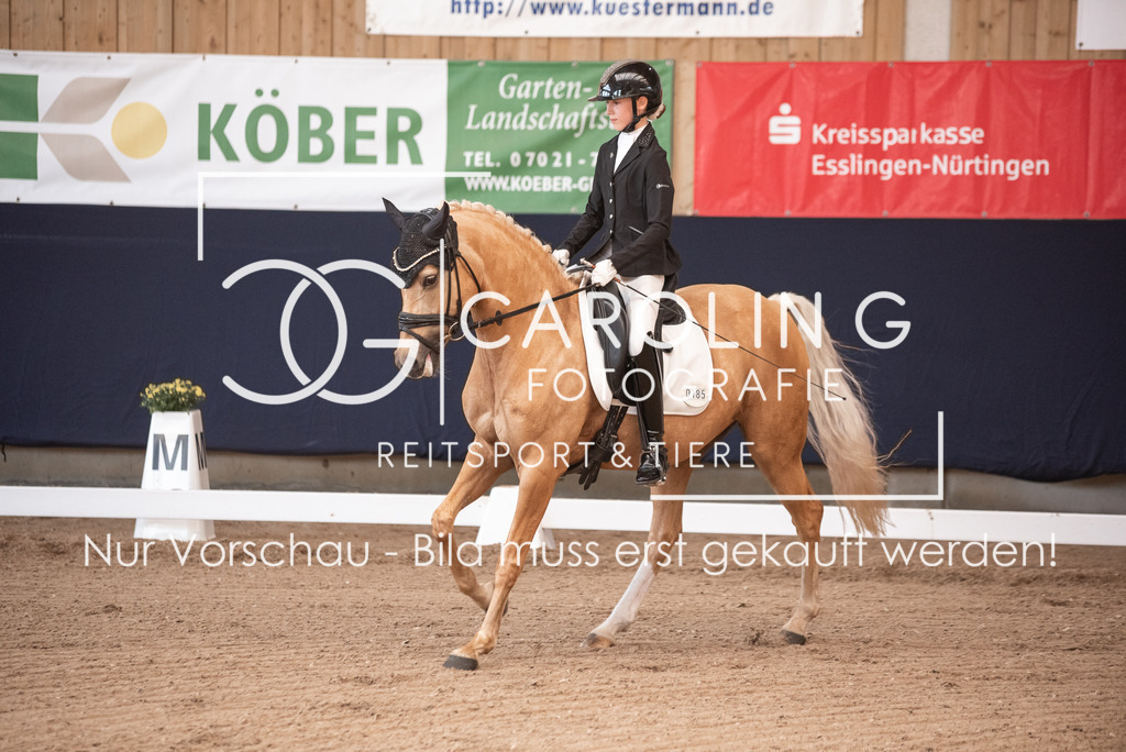 DSC_3265 | Carolin Gieschke