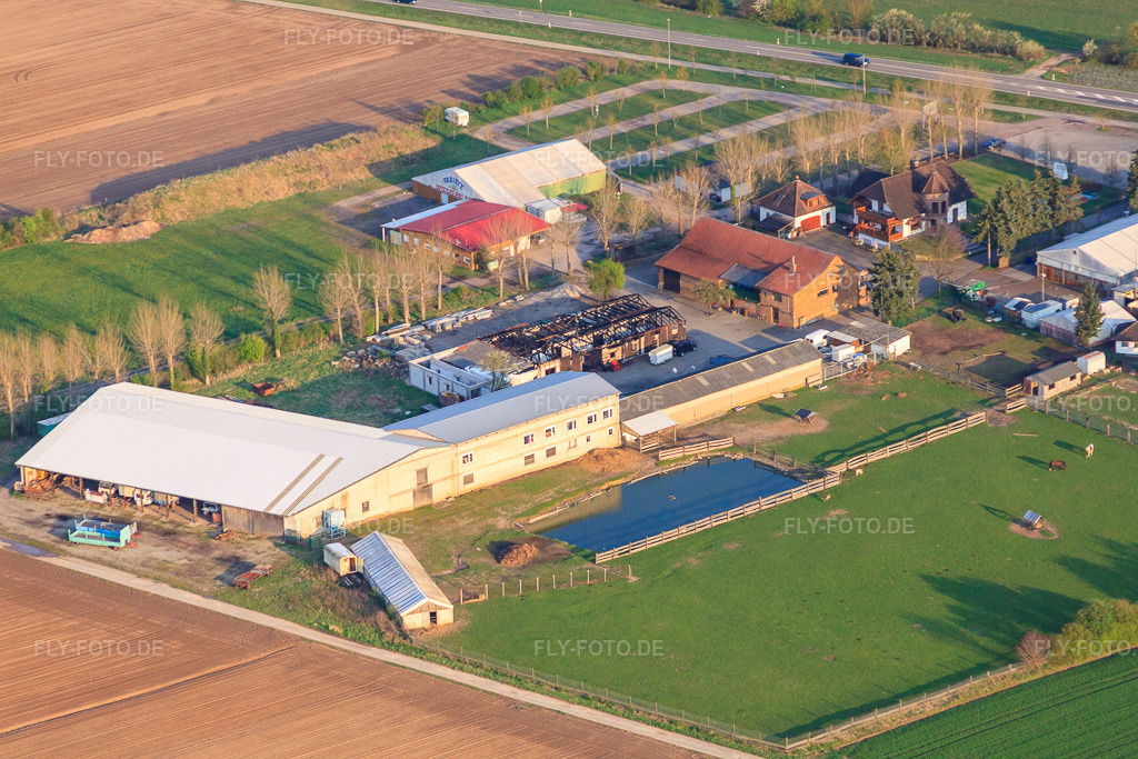 Luftbild: Adamshof, nach dem Brand in der Ostereiermalhalle in Kandel im Bundesland Rheinland-Pfalz in Deutschland. Foto: IMG_49919.jpg vom 13.04.2012 durch Werner Riehm/FLY-FOTO.de