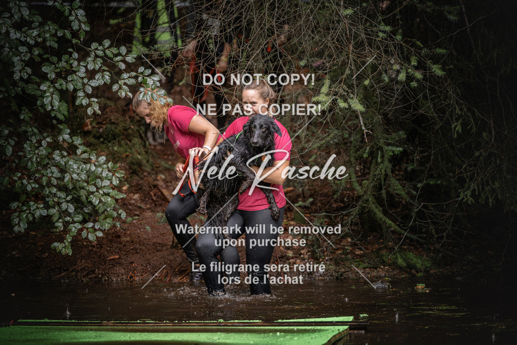 nelerasche_Wingst_Sa1330-1400_181 | nelerasche