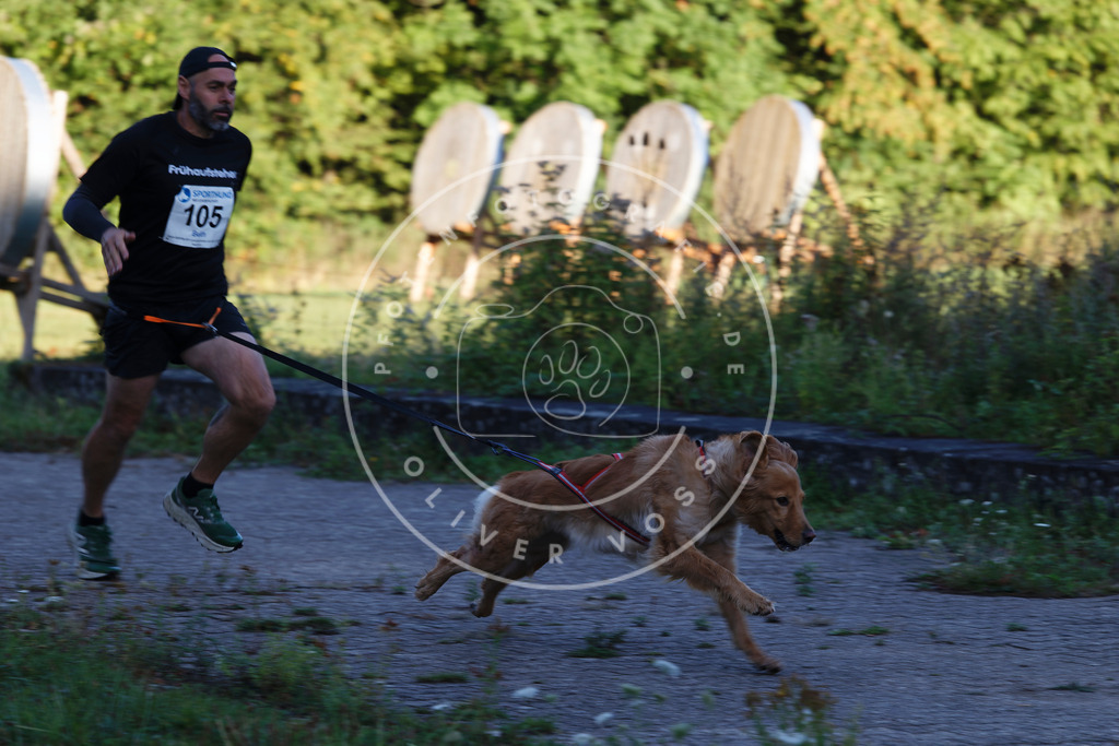 0L8A4741 | Hundefotografie, Tierfotograf, Pfotenfotografie, Fotoshooting Hund, Hunde Portrait, Hundesport, Hundeportraits, Heideshooting, Hunde, Sportfotograf, Hundefotograf, Turnierhundsport, THS,  - Realisiert mit Pictrs.com