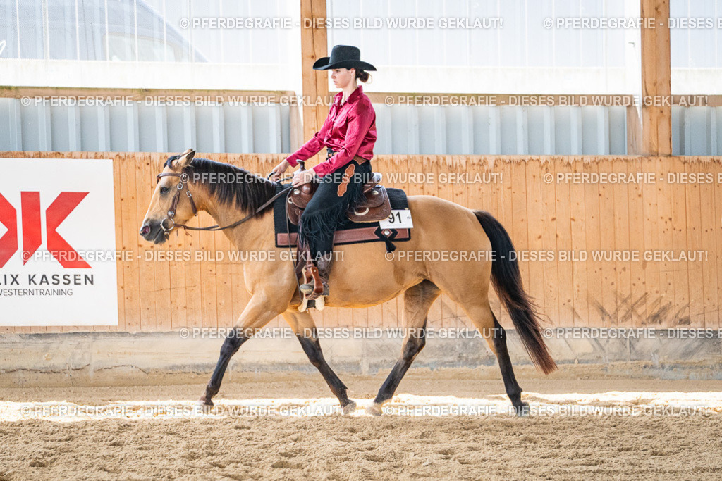 DSC03338 | Pferdegrafie