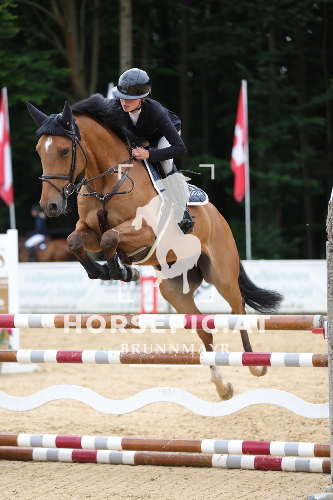 0P6A3576 | Willkommen bei Brunnmayr - Design & Fotografie – Ihrem Spezialisten für Reitturniere und Pferdeveranstaltungen in Oberösterreich, Salzburg und Bayern! Seit über 17 Jahren sind wir leidenschaftlich dabei.