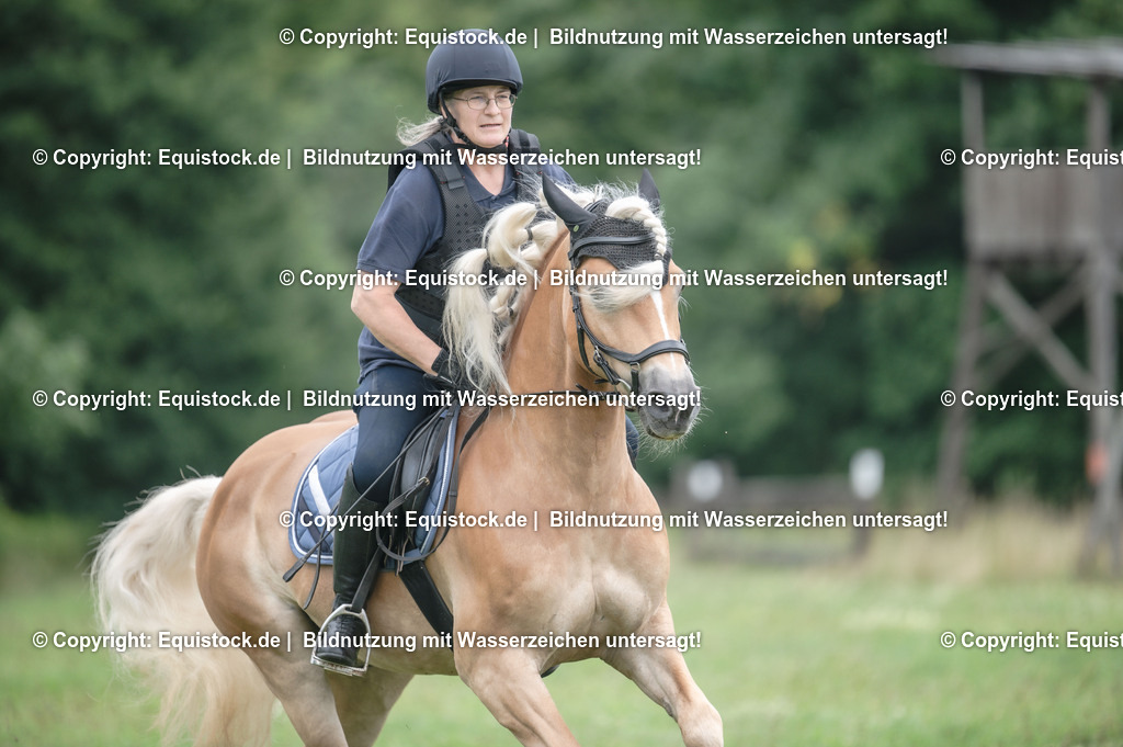 20250726_Vielseitigkeitslehrgang-Marbach_0499 | Foto: Thomas Hartig