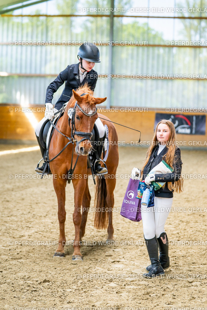 DSC03475 | Pferdegrafie