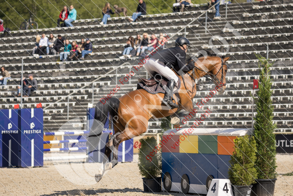 IMG_3910 | Sport-, Event- und Tierfotos in Profiqualität. Einfach auswählen, bestellen und herunterladen. Dein Moment – perfekt festgehalten.