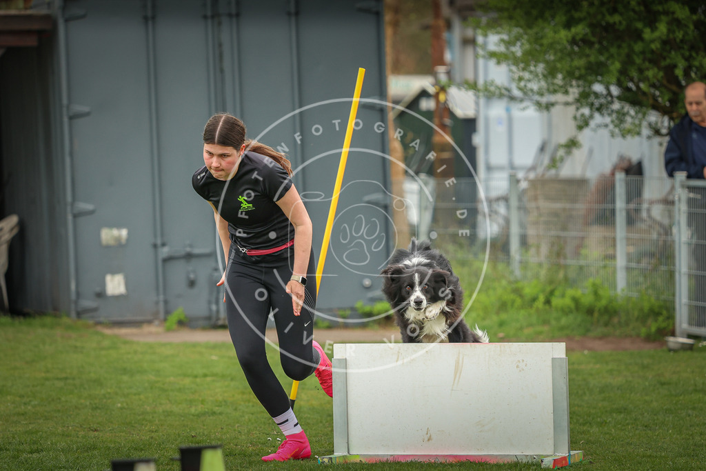 Pfotenfotografie_0L8A0807 | Hundefotografie, Tierfotograf, Pfotenfotografie, Fotoshooting Hund, Hunde Portrait, Hundesport, Hundeportraits, Heideshooting, Hunde, Sportfotograf, Hundefotograf, Turnierhundsport, THS,  - Realisiert mit Pictrs.com
